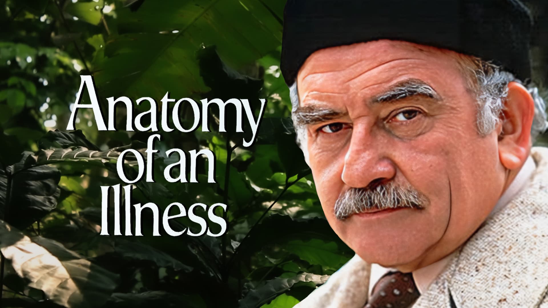 Anatomy of an Illness