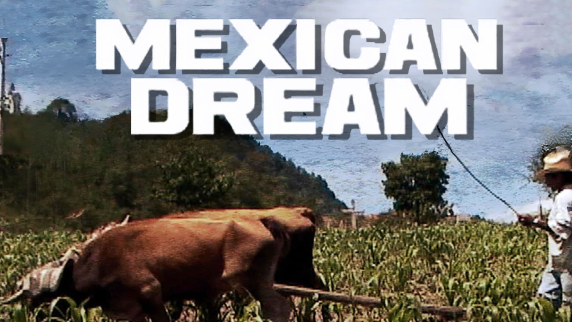 Mexican Dream