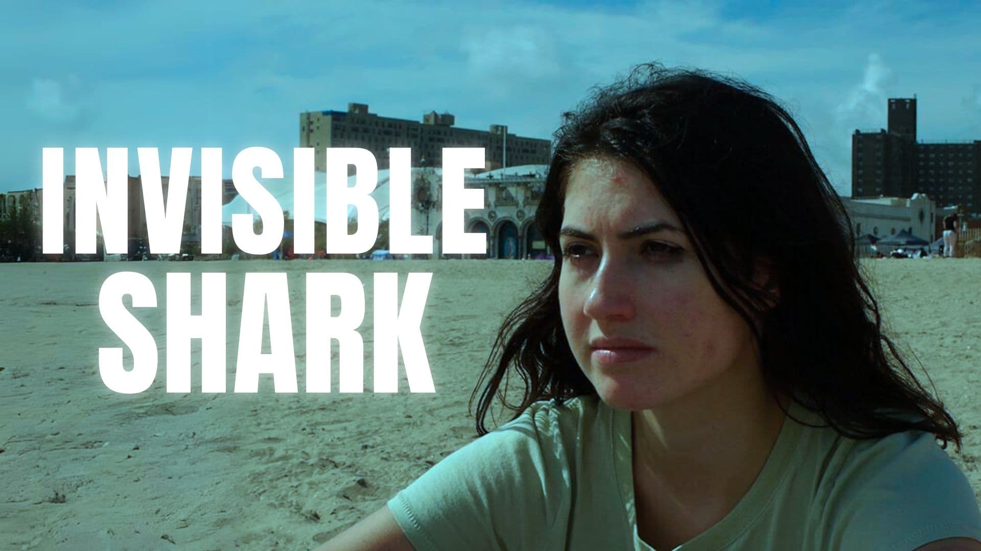 Invisible Shark