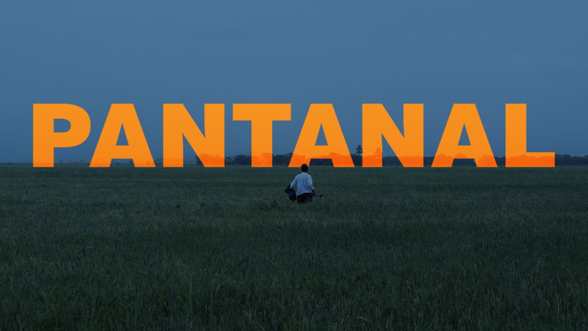 Pantanal