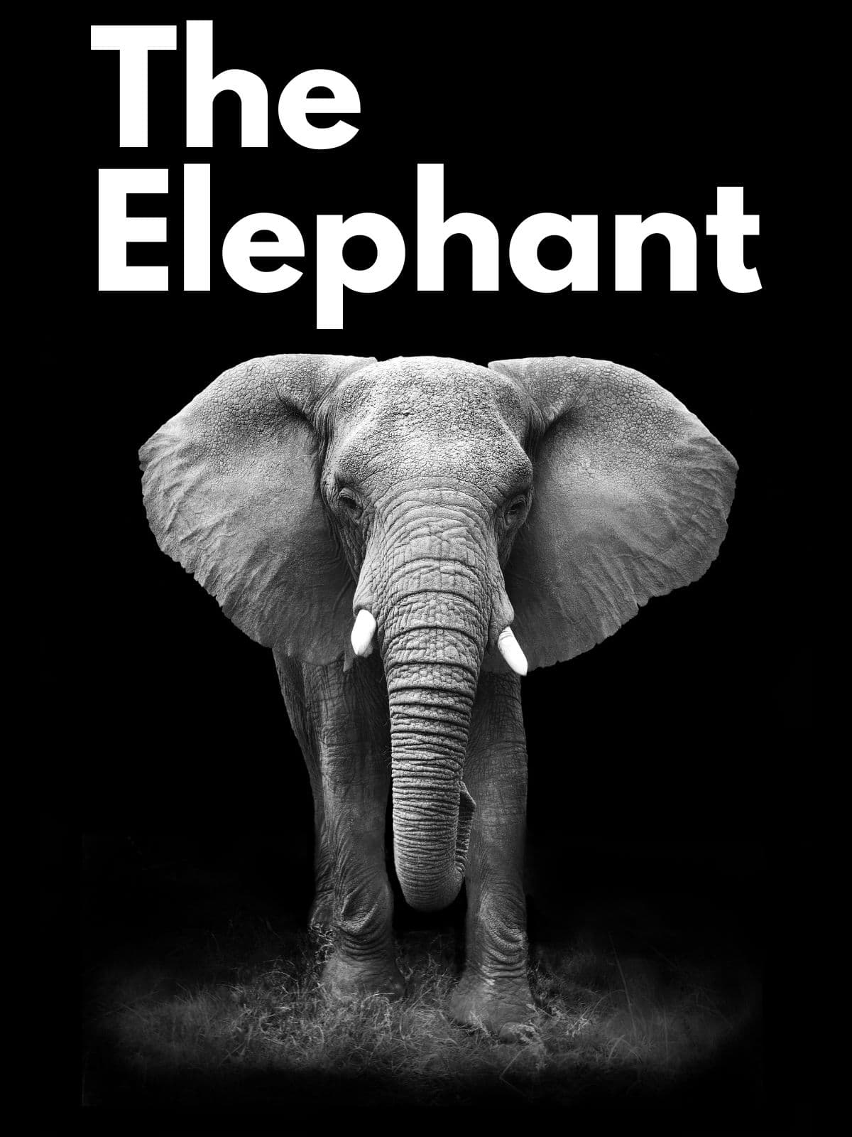 Elephant (Russian)