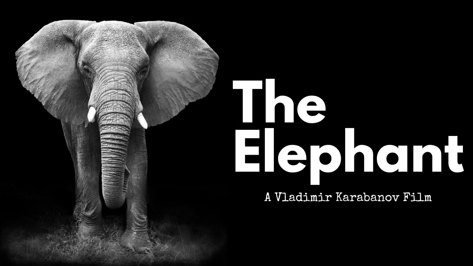 Elephant (Russian)
