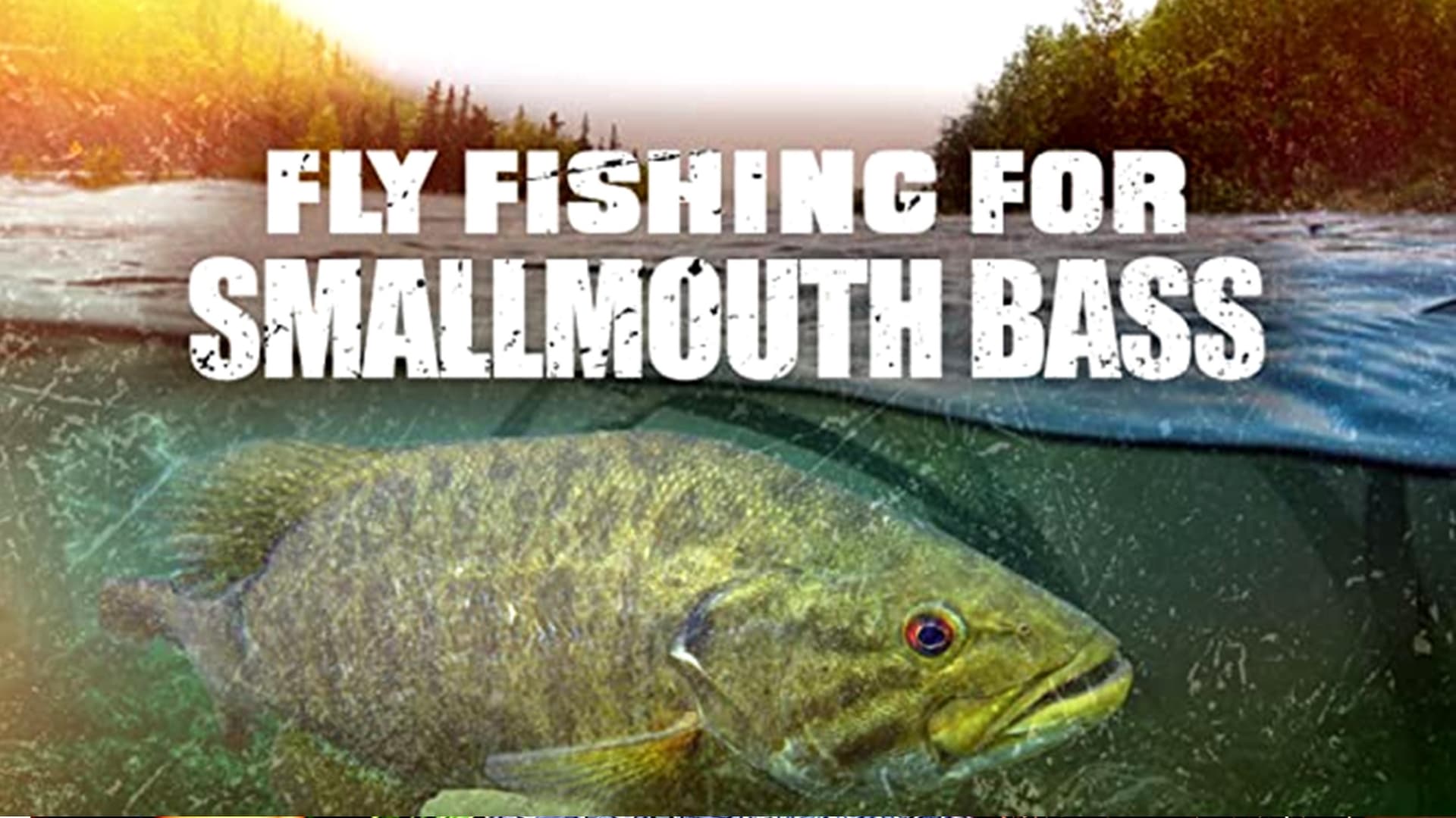 Fly Fishing For Smallmouth Bass