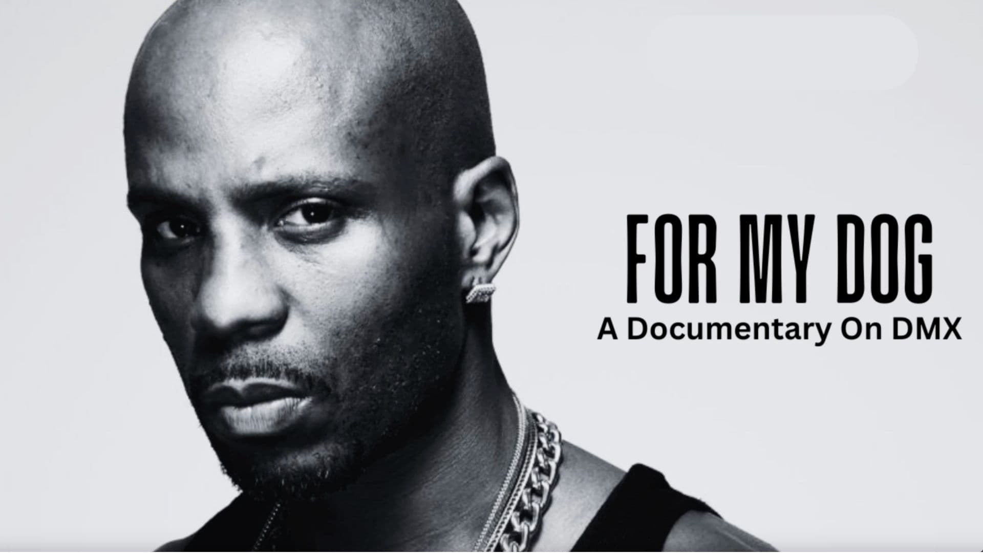 For My Dog: DMX