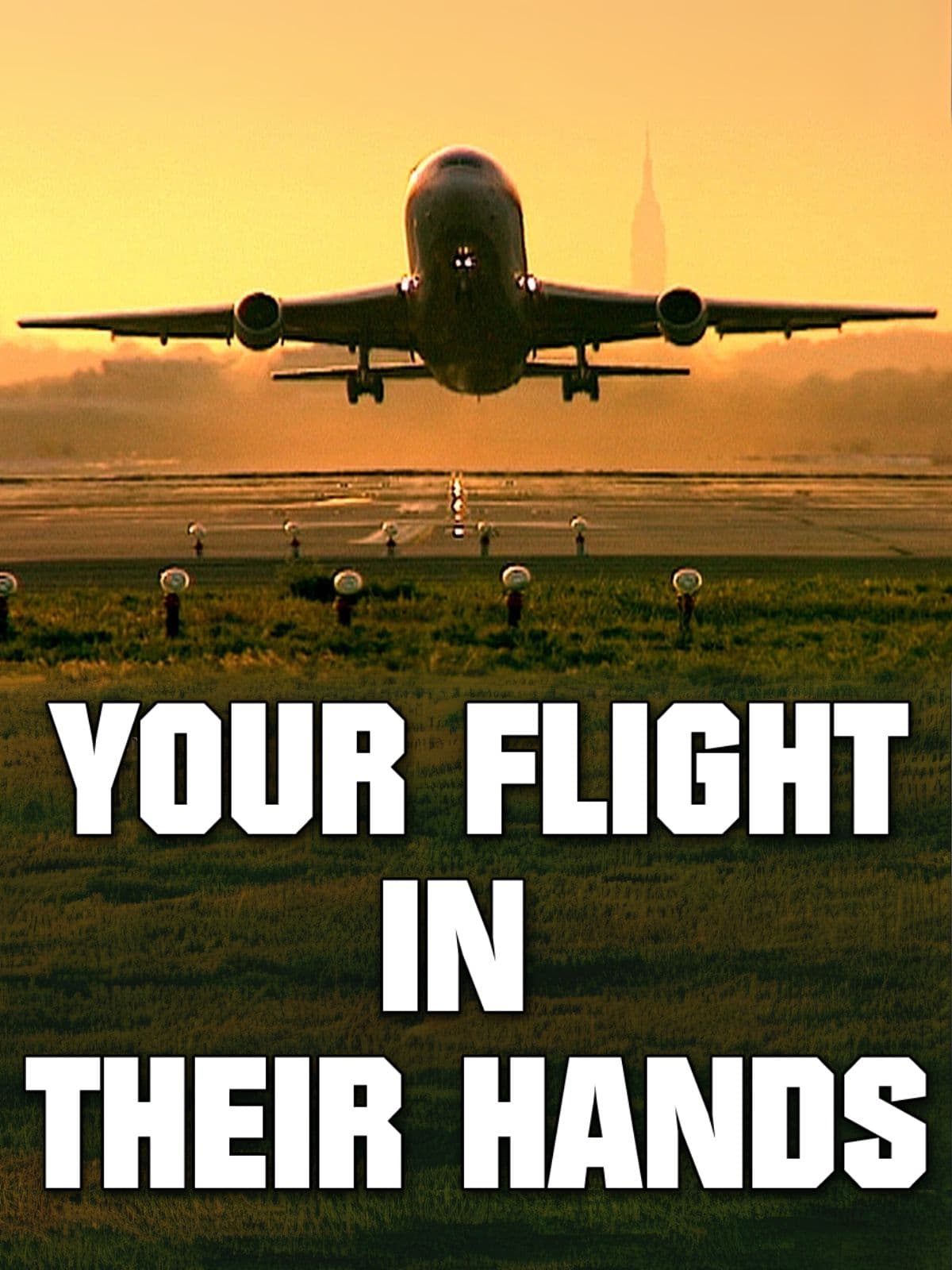 Your Flight in Their Hands